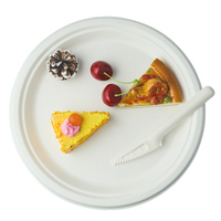 Assiette jetable biodégradable en bagasse de canne à sucre de 10 pouces pour la restauration à emporter
