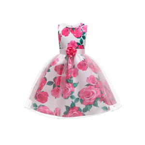 Robe sans manches à imprimé floral pour filles, style princesse plissé avec nœud, pour les spectacles et le quotidien K9 - Product Image 4