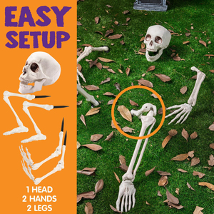Décoration de Halloween : Squelette réaliste qui sort du sol, idéale pour cimetière, jardin, pelouse et fêtes sur le thème du sol - Product Image 4