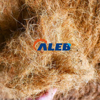 Machine d'extraction automatique de fibres de coco robuste et efficace, équipement de décorticage et de broyage des fibres de coco