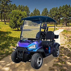 Voiturette de golf électrique tout-terrain personnalisée, 2 places, chariot de golf électrique, scooter pour utilisation hors route non publique - Product Image 1