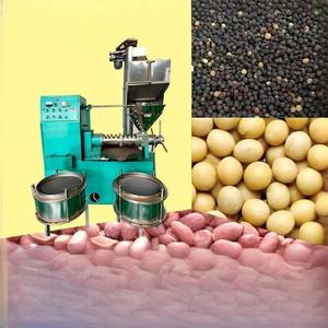 Machine d'extraction d'huile de graines de tournesol et presse à huile automatique pour restaurants, avec une expérience de plusieurs années - Product Image 1