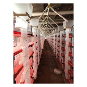 720 chim cút thị trường tốt 6 tầng mạ kẽm nhúng nóng tự động lồng chim cút Trắng/Nhà cung cấp lồng chim cút cho lớp sản xuất trứng - Product Image 4