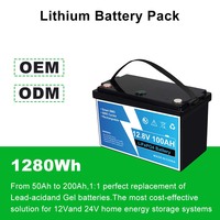 Batterie au lithium 1280Wh 12V 50Ah pour stockage d'énergie marine, moteurs de pêche à la traîne, batterie de secours légère pour bateau, LFP durable