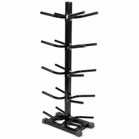 Support mural pour balles de fitness, simple poteau, 4 niveaux, double bras, fixation par boulons, installation facile, idéal pour la salle de sport et la maison