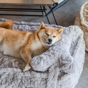 Almohadilla para mascotas al por mayor con almohada, lindas camas suaves y esponjosas para perros, acogedora almohada para perrera, cama lavable para perros - Product Image 2