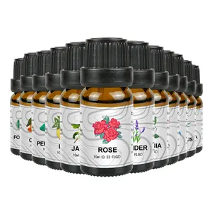 экстракт зеленого чая водорастворимые масла Suppliers-Водорастворимое эфирное масло для расслабления, освежитель воздуха, частная торговая марка OEM, 10 мл