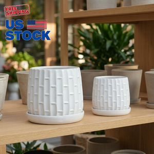 Juego de Dos Macetas de Cerámica Blanca Esmaltada Hechas a Mano, de 6 y 8 Pulgadas, con Diseño de Bambú, para Orquídeas, Disponibles al por Mayor - Product Image 2