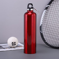Bouteille d'eau sportive en acier inoxydable à double paroi de haute qualité HZ