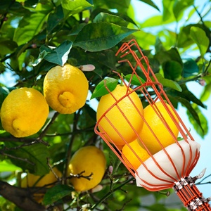 Perche télescopique pour appareil photo, cueilleur de <span class=keywords><strong>cerises</strong></span>, Boom Lift cueilleur de fruits de jardin 10 mètres perche télescopique cueilleur de fruits télescopique - Product Image 5