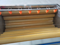 Wortel Groente Fruit Wassen Peeling Machine/Borstel Wassen Plassen Machine/Gember Peeling Machine