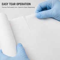 Disposable PP Non Woven Fabric Bed Sheets & Tablecloth for Beauty Salon & Spa Use Soft CE Certified Customized Size