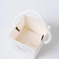 Sac d'emballage personnalisé pour cactus, emballages pour plantes succulentes, boîte cadeau pour plantes avec poignées en plastique