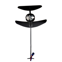 Planche de surf électrique Hydrofoil à batterie, conception personnalisée professionnelle disponible
