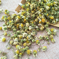 Thé de fleurs de camomille séchées naturelles en gros, saveur relaxante pour le sommeil