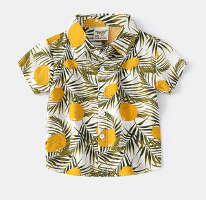 2024 Summer Beach Chemise hawaïenne à manches courtes pour garçon LSBO-002 - Product Image 6