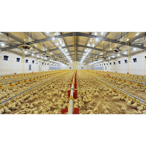 Bâtiment à structure en acier de Chine poulailler préfabriqué ferme de poulets à bas <span class=keywords><strong>prix</strong></span> - Product Image 3