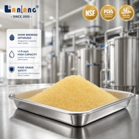 Résine échangeuse cationique premium à haute capacité, à base de formiate de sodium, pour la production de bière artisanale et la transformation alimentaire