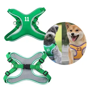 PNB Pet Supplier OEM Green Air Layer Adjustable Personalized Dog Harness and Leash Set for Pet Dog Walking