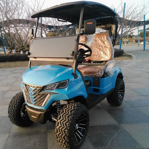 Nuevo Buggy de Golf Eléctrico de Fábrica, 2 Plazas, Todoterreno, Homologado para Calle, Batería de Litio de 24V, 5KW, Capacidad de Carga de 300kg - Product Image 1