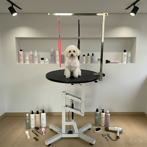 Toptan Fiyat Fabrikadan Doğrudan Pnömatik Kaldırma Özellikli Yeniden Kullanılabilir Çevre Dostu Paslanmaz Çelik Evcil Hayvan Köpek Bakım Masası (Evcil Hayvan Salonu İçin) - Product Image 1