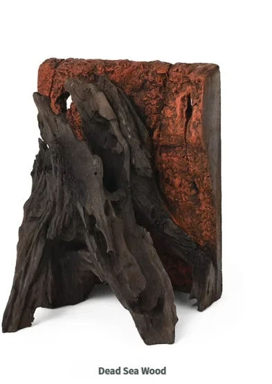 Bois de la Mer Morte