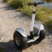 Trottinette Électrique Personnelle à Deux Roues, Fabricant de Trottinettes Segway, Pneus de 20 Pouces, Vente en Gros de Trottinettes