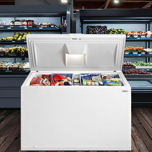 Vendita calda Pack <span class=keywords><strong>congelatore</strong></span> <span class=keywords><strong>orizzontale</strong></span> <span class=keywords><strong>congelatore</strong></span> grande Freezer <span class=keywords><strong>prezzo</strong></span> - Product Image 6