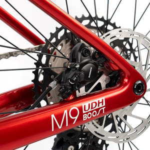 Bicicleta <span class=keywords><strong>de</strong></span> Montaña FLM M9-Elite Carbon XC Race 29er <span class=keywords><strong>de</strong></span> 12 Velocidades, Ligera, 11.3 kg, MAXXIS Hidráulica - Product Image 6