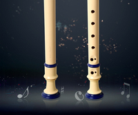 Starway Wholesale 6 8 Hole Style ABS Plastic Student Flute Recorder for Promotion Musical Instrument for Gift