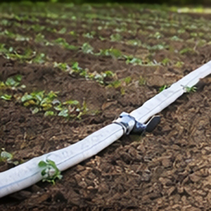 <span class=keywords><strong>Tuyau</strong></span> <span class=keywords><strong>d</strong></span>'irrigation agricole <span class=keywords><strong>blanc</strong></span> de 16 mm, <span class=keywords><strong>tuyau</strong></span> <span class=keywords><strong>d</strong></span>'<span class=keywords><strong>arrosage</strong></span> en PE moulé par soufflage avec paroi de 0,2 mm pour ferme et serre - Product Image 4