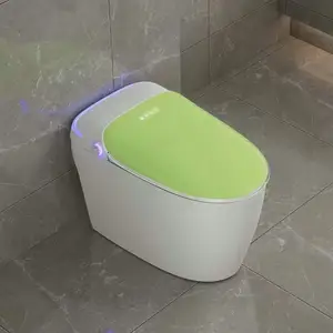 2024 New Design Fully Automatic Operation Electric Bidet Sensor Grey Color Floor Mounted Smart Toilet