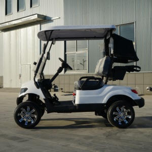 Auto Elettrica da Golf a 2 Posti di Alta Qualità per Hotel, Campus, Parchi, Caricabatterie Rapido, Golf Buggy, Auto Turistica per Aeroporti, Servizio OEM - Product Image 3