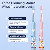 Cepillo de Dientes Eléctrico Recargable para Niños con Luz LED, Cepillo de Dientes Eléctrico con Logotipo Personalizado