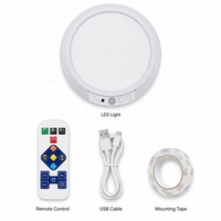 Lampe LED à détecteur de mouvement rechargeable par USB, intensité réglable, 3 températures de couleur, télécommande, minuterie, fixation magnétique, PC blanc, pour placard, garage, escaliers, couloir