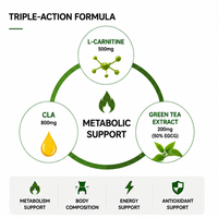 Gélules molles OEM L-Carnitine CLA Thé Vert pour le métabolisme, soutien énergétique, gestion du poids, supplément antioxydant pour adultes