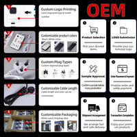 Multiprise professionnelle 6 prises avec câble d'extension USB et certifications CE ROHS