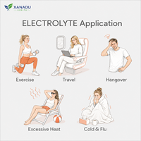 Poudre d'électrolytes XANADU |   Boisson Énergisante Personnalisée OEM aux Saveurs/Recettes de Fruits en Sachets – Hydratation, Énergie, Concentration, Supplément Sportif en Gros