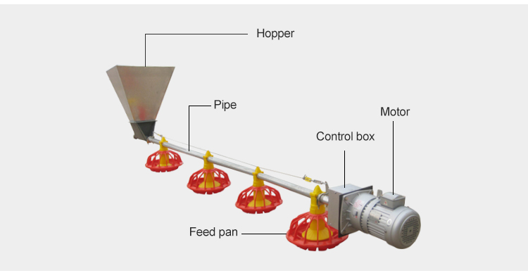 Broiler Chicken Farming Equipment 380v With 1 Year Warranty
