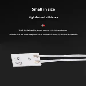 لوح تسخين سيراميك الألومينا للاستخدام الصناعي، مقاوم للحرارة العالية والأحماض والقلويات، لوح تسخين كهربائي مع ضمان لمدة عام - Product Image 2