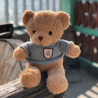 Boneka Beruang Teddy Sweater Lembut 25cm, Boneka Beruang Berpakaian, Hadiah Mesin Arcade Pusat Perbelanjaan, Penjualan Langsung, Barang Berkualitas