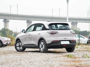 Modello 2026 310km Edizione Giovani <span class=keywords><strong>Auto</strong></span> Elettrica Compatta Urbana a Nuova Energia Conveniente - Product Image 4