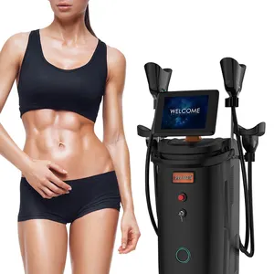 Massagem Pequeno Coreano Cryoshape Cryocool Congelamento Máquina De Gordura