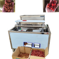 Machine électrique industrielle IQF pour l'élimination des noyaux de cerises, d'abricots, de dattes et de prunes, pour fruits surgelés