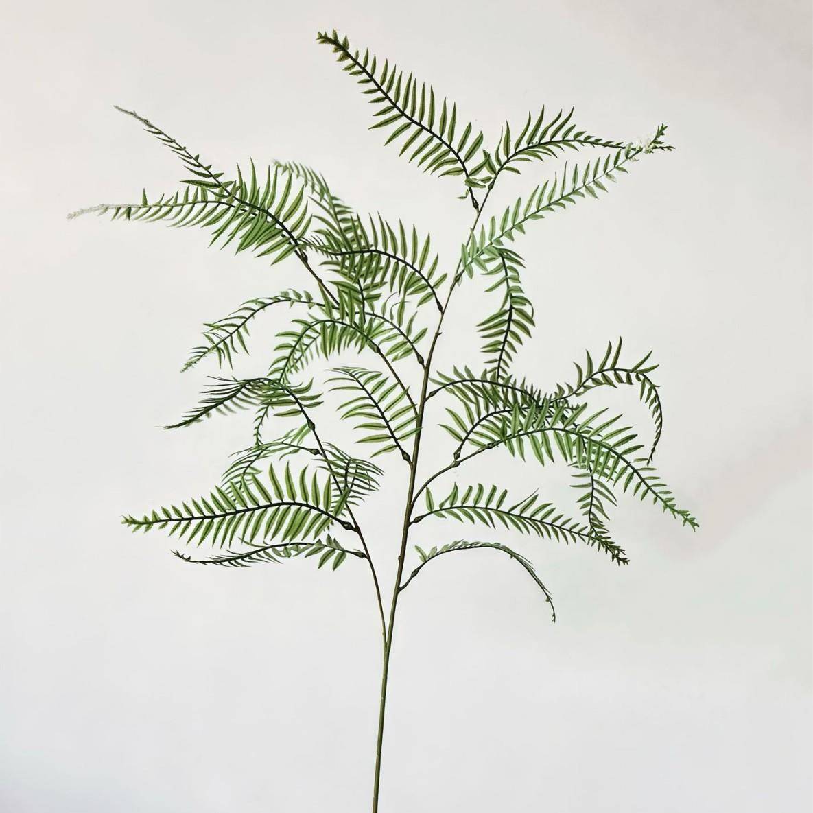 Green big persian