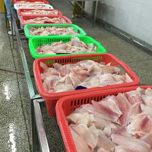 Filete de Tilapia Congelado |   Filete de Pescado Procesado y Limpio |   Suministro Confiable para Restaurantes y Distribuidores - Product Image 2