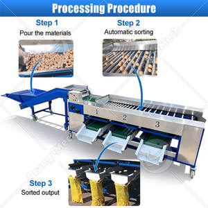 Machine de tri et de calibrage ORME pour fruits (mandarines, oranges), bleuets, pommes de terre, oignons - Product Image 3