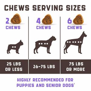 Suppléments nutritionnels pour les hanches et les articulations des animaux de compagnie avec <span class=keywords><strong>glucosamine</strong></span> et MSM pour soutenir la mobilité dans OEM/ODM de chiens à mâcher - Product Image 3