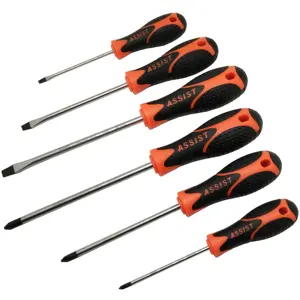 6 pcs screwdriver kit