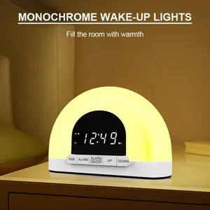 Hot Wholesale Sell Abs Semicircle Kids Sleep Changing Alarm Clock Sunrise Wake Up Sound Light